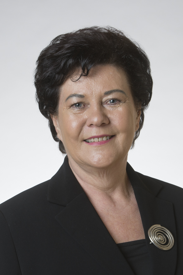 Paloniemi, Aila kesk