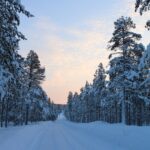 EU:n koheesiopolitiikka: Suomi saa yli 465 miljoonaa euroa oikeudenmukaisen ilmastosiirtymän toteuttamiseen